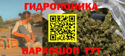Альфа ПВП Новозыбков