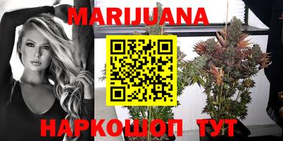 Альфа ПВП Новозыбков