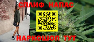 Альфа ПВП Новозыбков