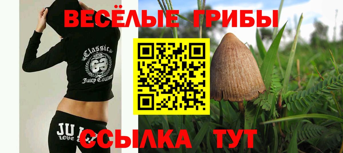 Галлюциногенные грибы Psilocybine cubensis  Вход с VPN  Галлюциногенные грибы GOLDEN TEACHER  цена   Тихвин 