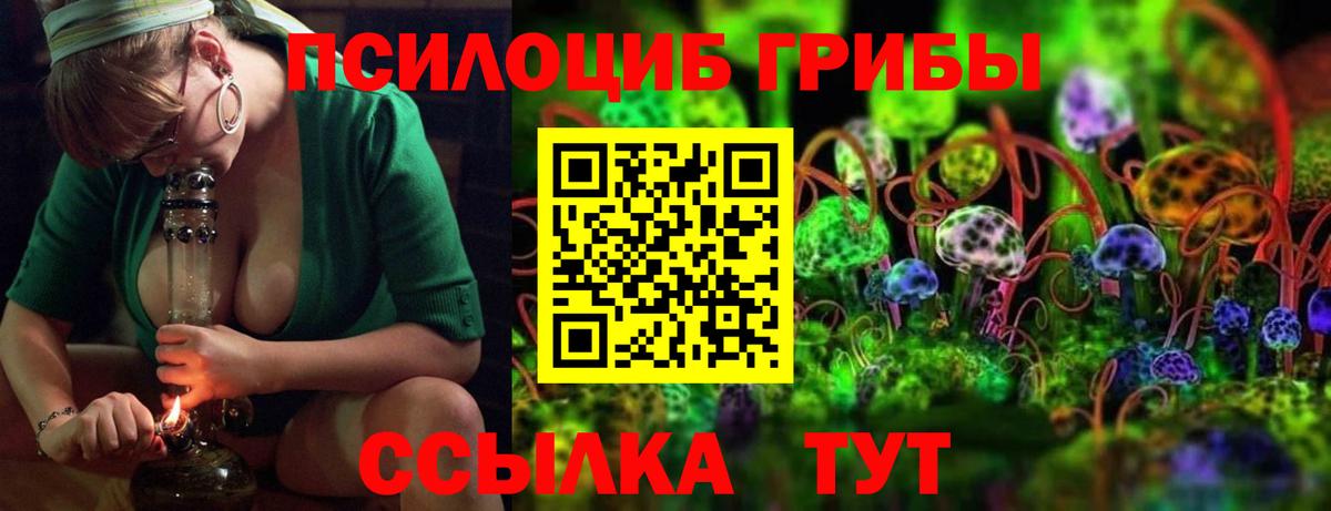 Галлюциногенные грибы GOLDEN TEACHER Тихвин